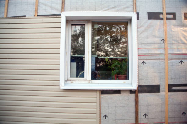 Best Custom Siding Design  in Alexandria, IN