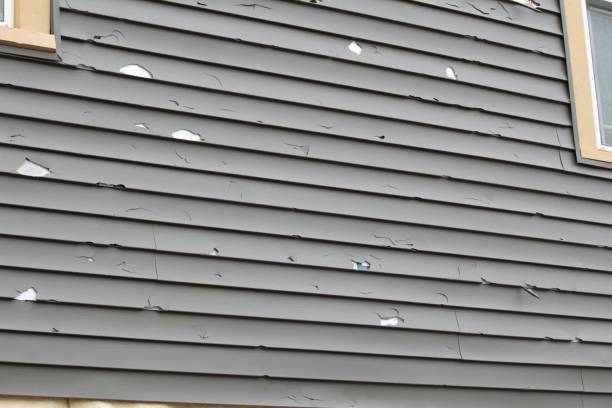 Best Vinyl Siding Installation  in Alexandria, IN