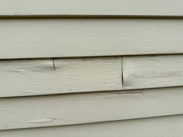 Best Fiber Cement Siding Installation  in Alexandria, IN